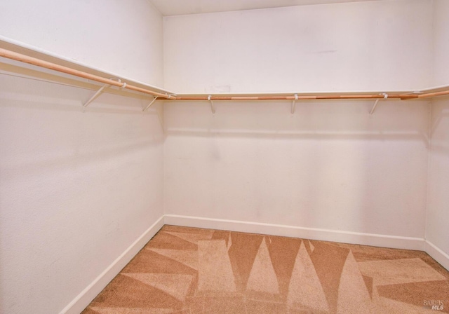 walk in closet featuring carpet floors