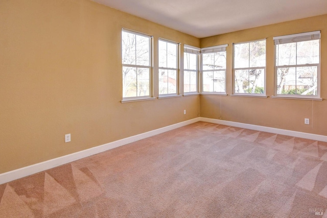 unfurnished room featuring carpet floors