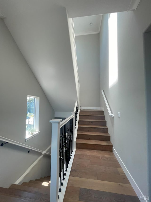 staircase featuring hardwood / wood-style floors