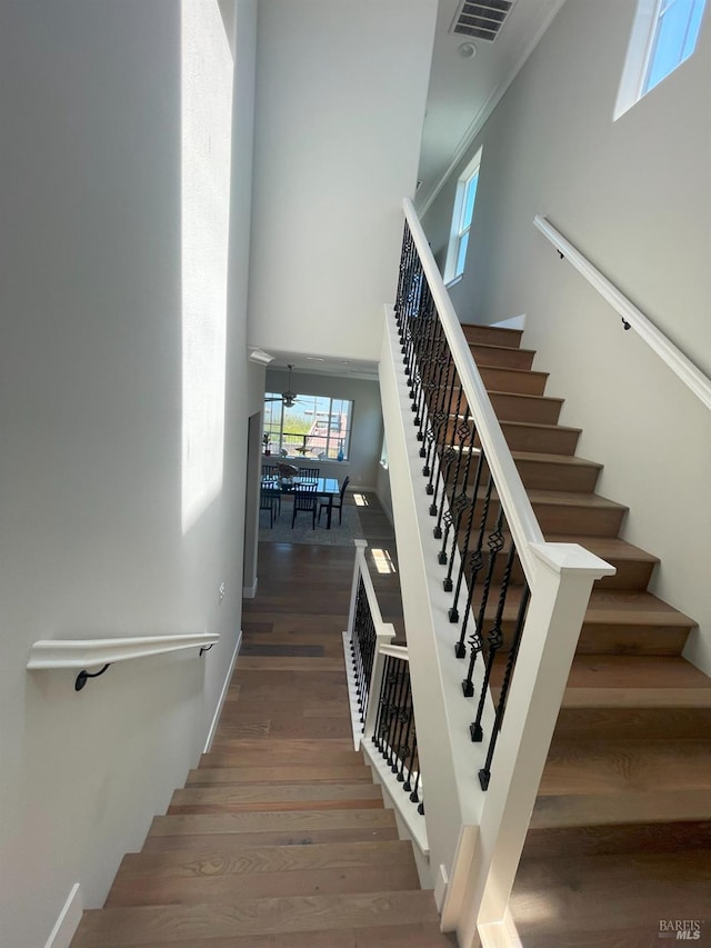 staircase featuring a towering ceiling and hardwood / wood-style floors