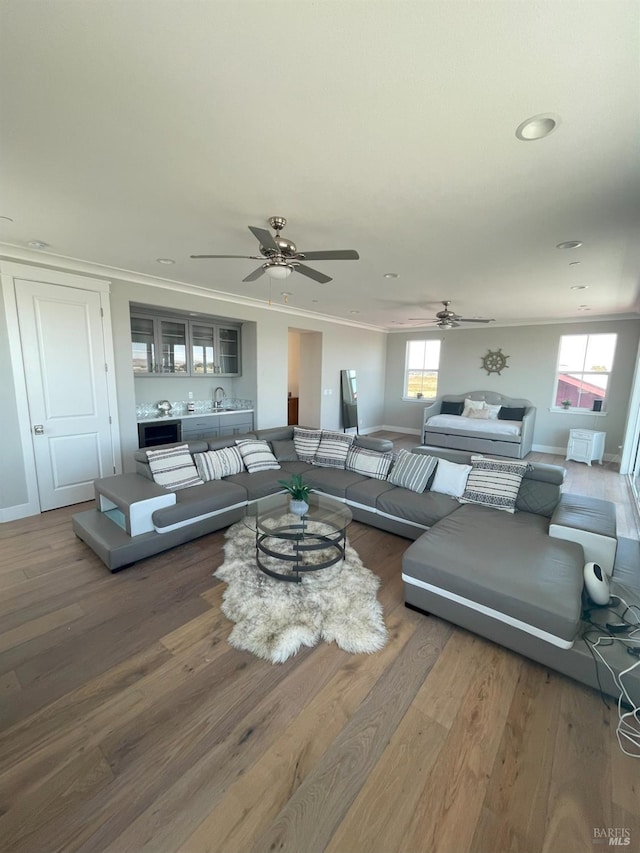 living room with ceiling fan, wood-type flooring, sink, and crown molding