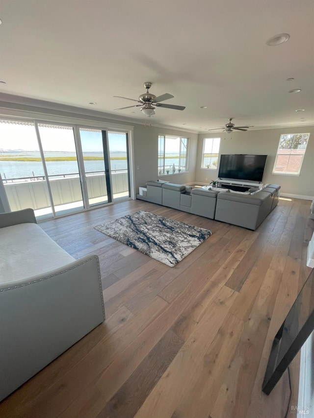 living room featuring ceiling fan and light hardwood / wood-style flooring