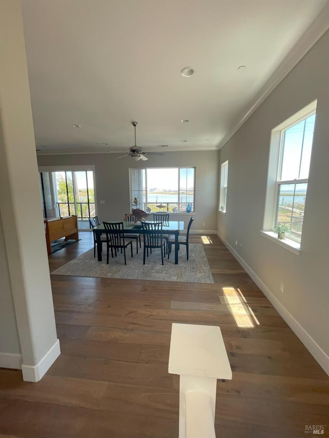 dining room featuring ceiling fan, dark wood-type flooring, and ornamental molding