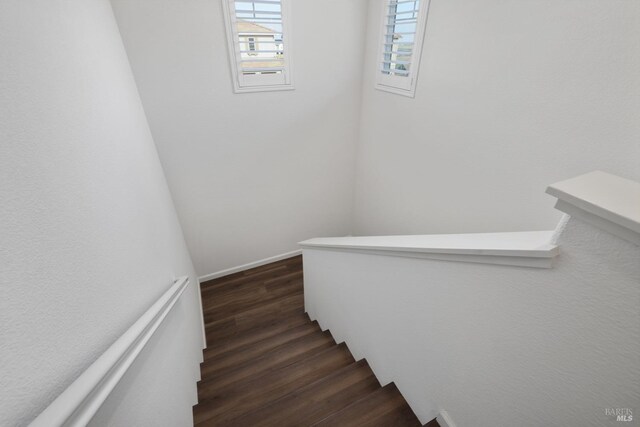 stairs featuring hardwood / wood-style floors