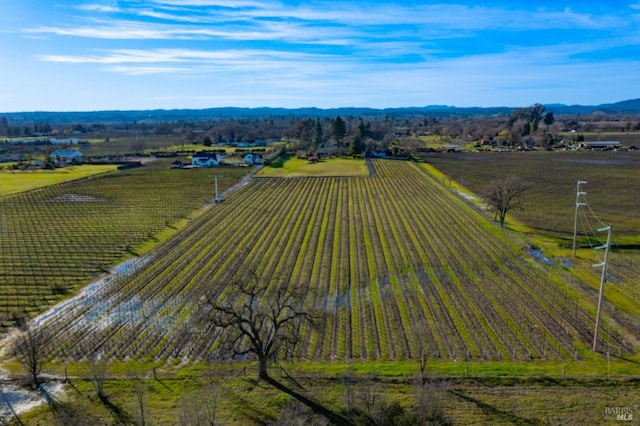 drone / aerial view with a rural view