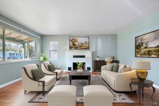 living room with hardwood / wood-style flooring and a fireplace