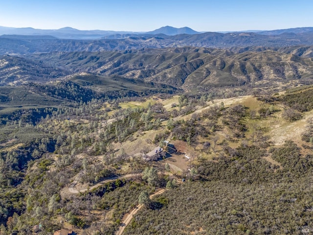 view of mountain feature