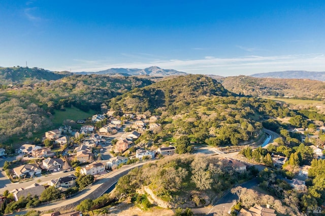 birds eye view of property featuring a mountain view