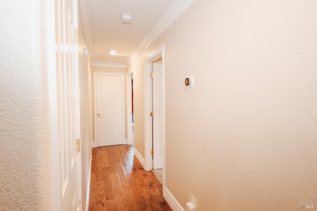 hall featuring hardwood / wood-style floors and crown molding