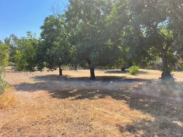 Listing photo 2 for 9419 Pawnee Trl, Kelseyville CA 95451