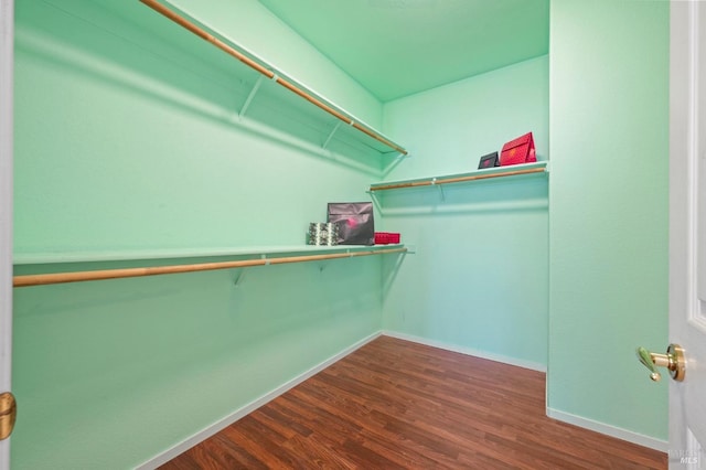 spacious closet with dark hardwood / wood-style floors