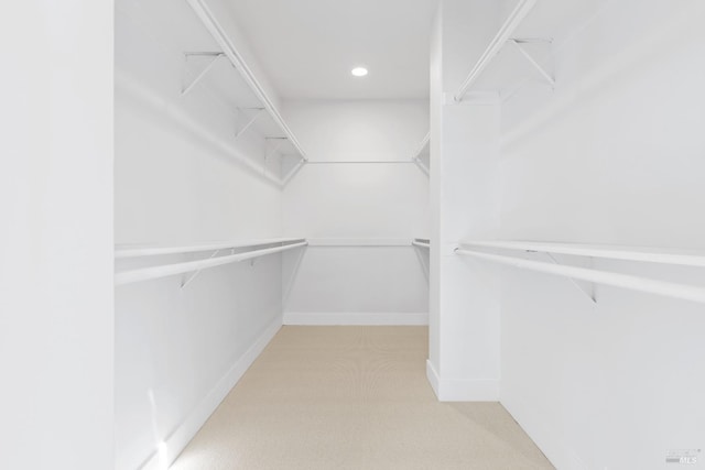 spacious closet featuring carpet flooring