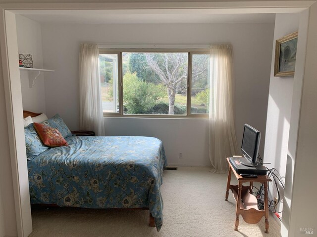 view of carpeted bedroom