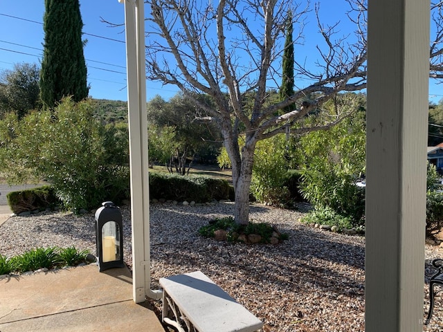 view of yard featuring a patio