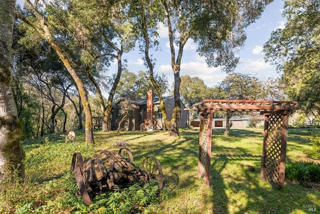 view of yard with a pergola