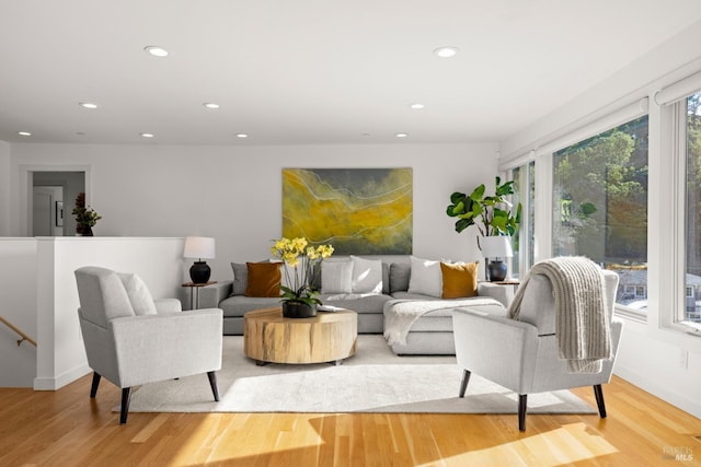 living room featuring light hardwood / wood-style floors