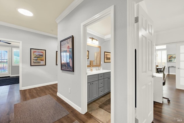 corridor with sink, dark wood-type flooring, and ornamental molding