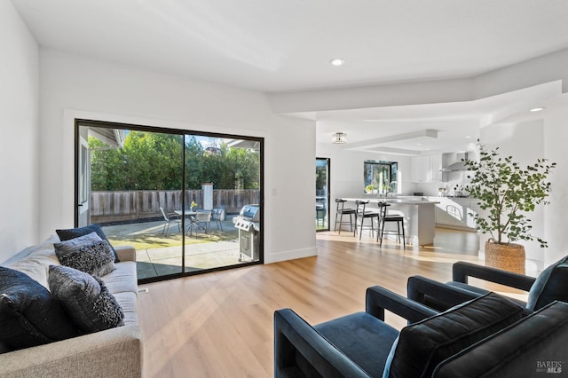 living room featuring light hardwood / wood-style flooring