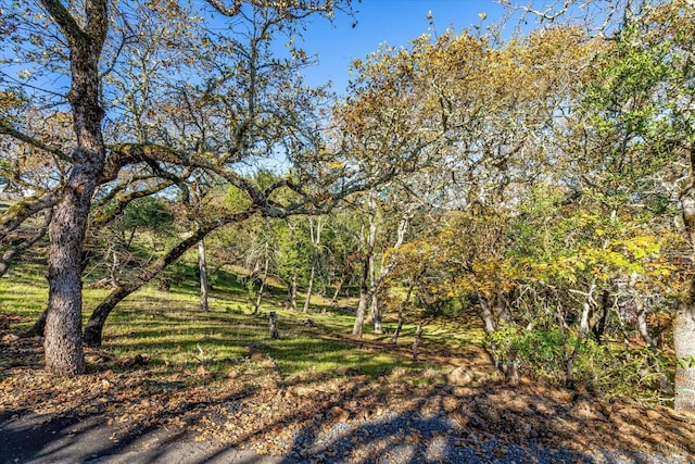 Listing photo 3 for 2869 Bristol Rd, Kenwood CA 95452