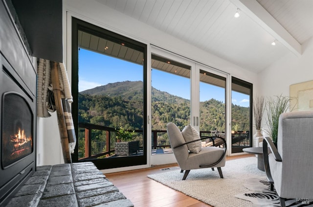 interior space with wood-type flooring, a mountain view, multiple windows, and access to outside