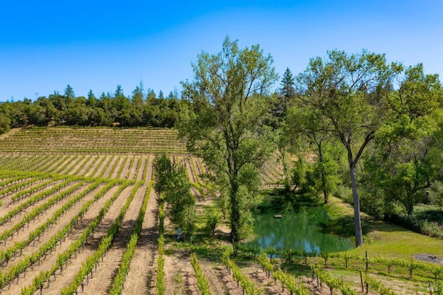 view of yard with a rural view and a water view