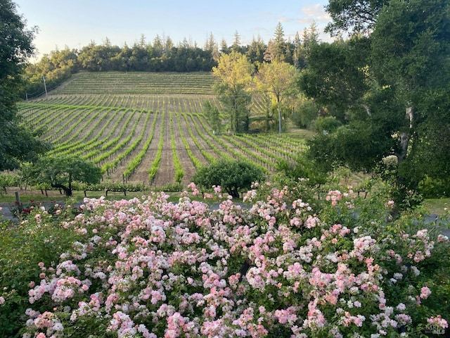 exterior space with a rural view