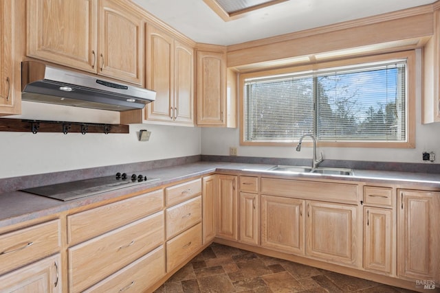 kitchen featuring sink, light brown cabinets, and black electric cooktop