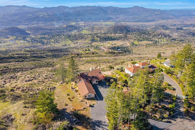 birds eye view of property with a mountain view