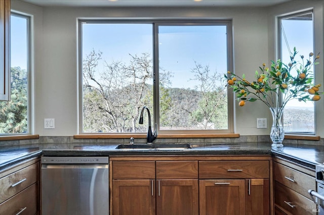 kitchen featuring sink, a healthy amount of sunlight, and stainless steel dishwasher