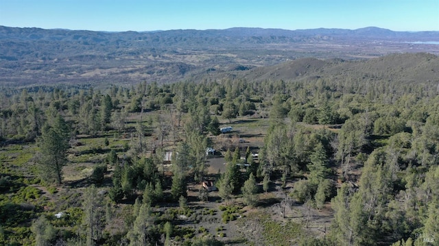 birds eye view of property with a view of trees and a mountain view