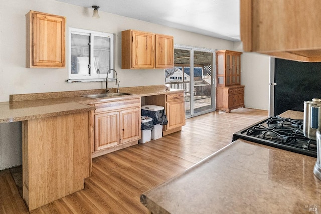 kitchen featuring light brown cabinets, light hardwood / wood-style floors, sink, stainless steel refrigerator, and stove