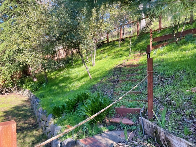 view of yard featuring a vegetable garden