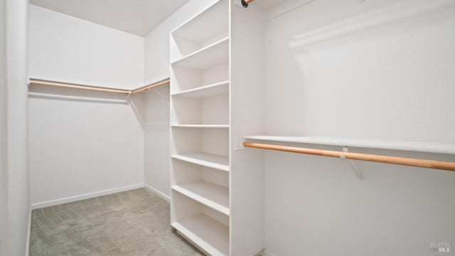 walk in closet featuring carpet floors