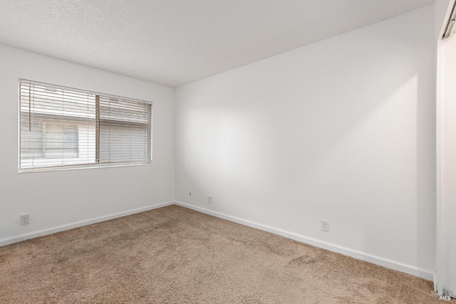 unfurnished room with carpet