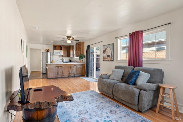 living room with ceiling fan and light hardwood / wood-style flooring