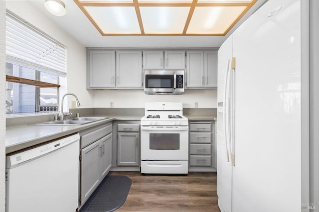 kitchen with sink, white appliances, dark hardwood / wood-style floors, and gray cabinetry