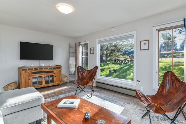 living room featuring wood finished floors and a baseboard radiator