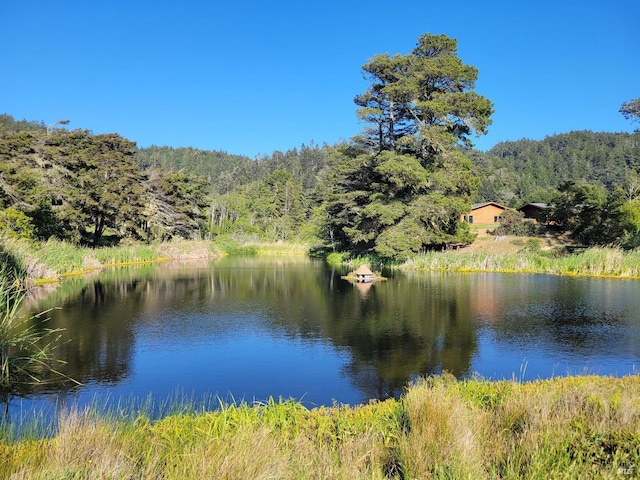 water view with a view of trees