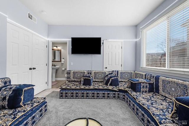 view of carpeted living room