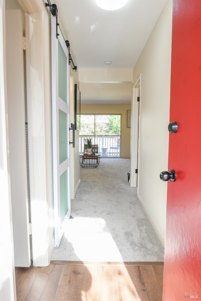 hall with a barn door and light carpet