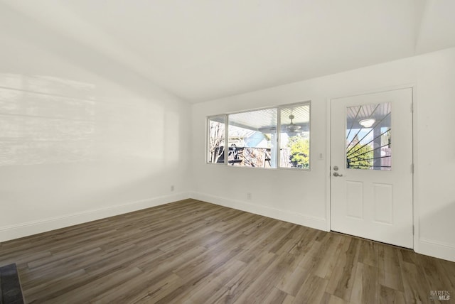 foyer entrance with lofted ceiling and wood-type flooring