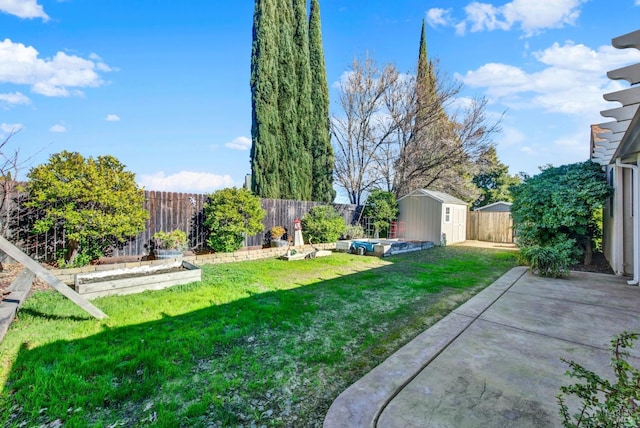 view of yard with a storage shed and a patio area