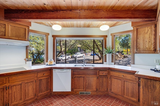 kitchen featuring black electric stovetop, dishwasher, range hood, sink, and plenty of natural light