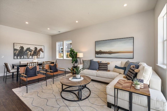 living room with hardwood / wood-style flooring