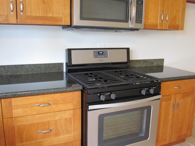 kitchen featuring stainless steel appliances