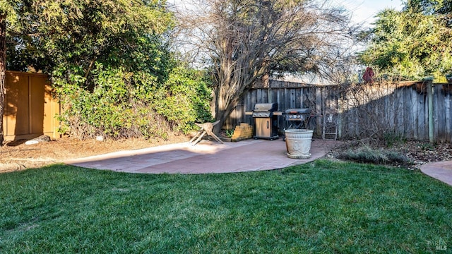 view of yard featuring a patio area