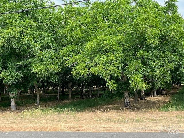 0 Winters Rd, Winters, CA 95694