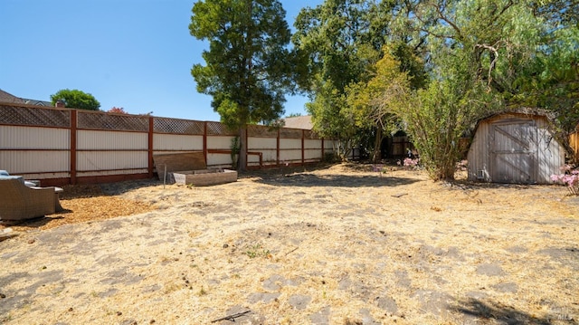 view of yard featuring a storage unit