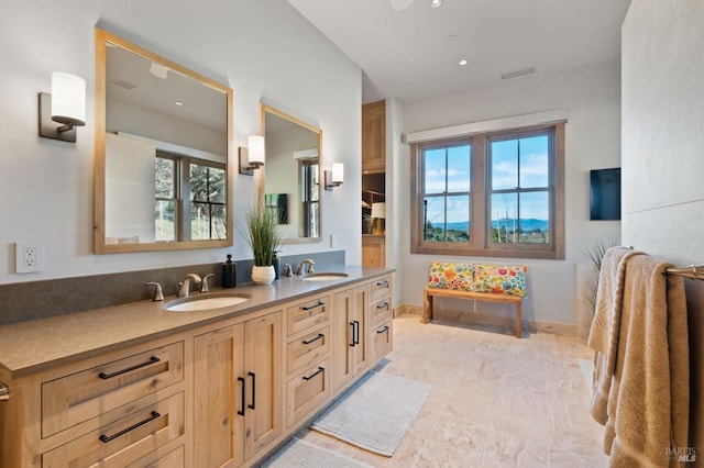 bathroom featuring vanity and a wealth of natural light