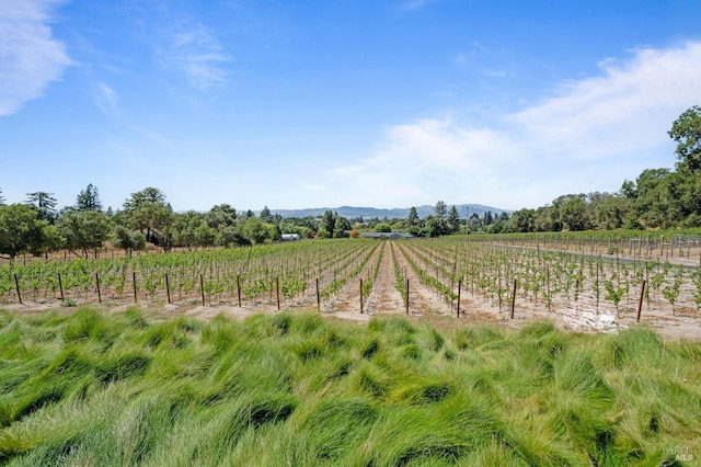 view of landscape with a rural view